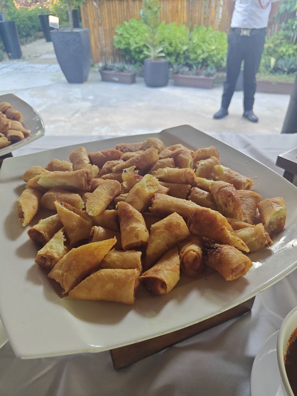 photo_6298744873493924953_y